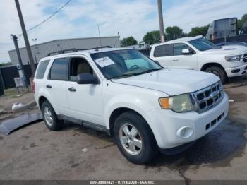  Salvage Ford Escape