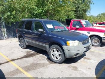  Salvage Ford Escape