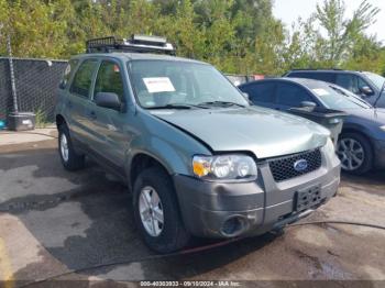  Salvage Ford Escape