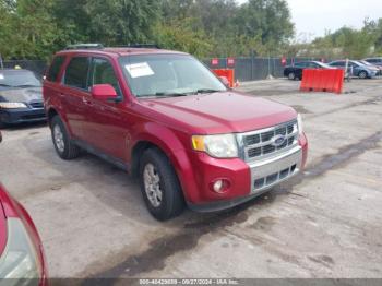  Salvage Ford Escape