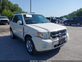  Salvage Ford Escape