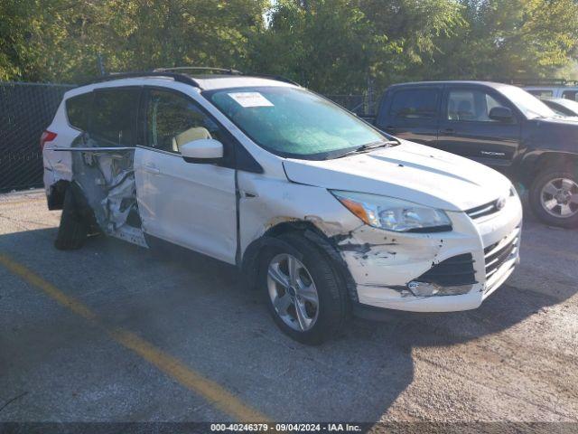  Salvage Ford Escape