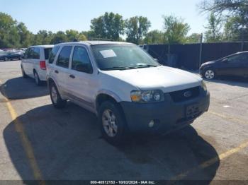  Salvage Ford Escape