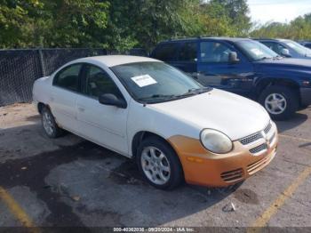  Salvage Dodge Neon