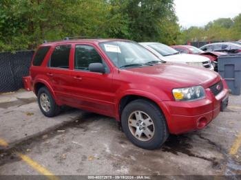  Salvage Ford Escape