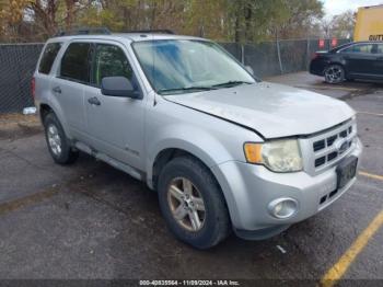  Salvage Ford Escape