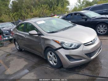  Salvage Hyundai ELANTRA