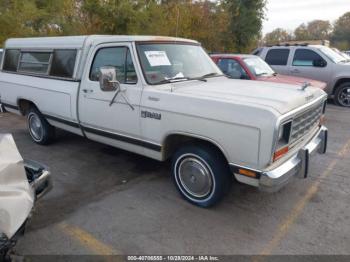  Salvage Dodge D-series