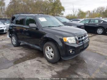  Salvage Ford Escape