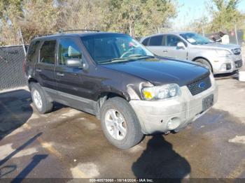  Salvage Ford Escape