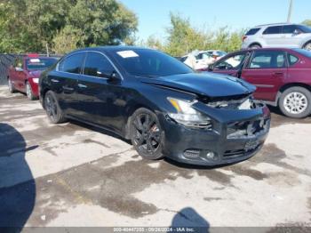  Salvage Nissan Maxima