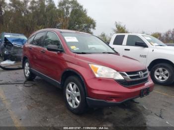  Salvage Honda CR-V