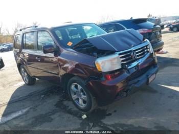  Salvage Honda Pilot