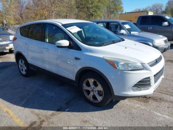  Salvage Ford Escape