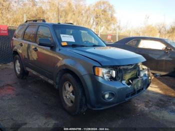  Salvage Ford Escape