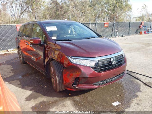  Salvage Honda Odyssey