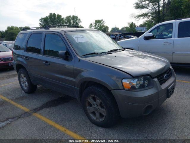  Salvage Ford Escape