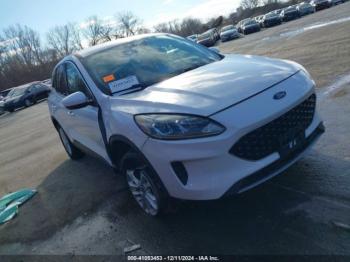  Salvage Ford Escape