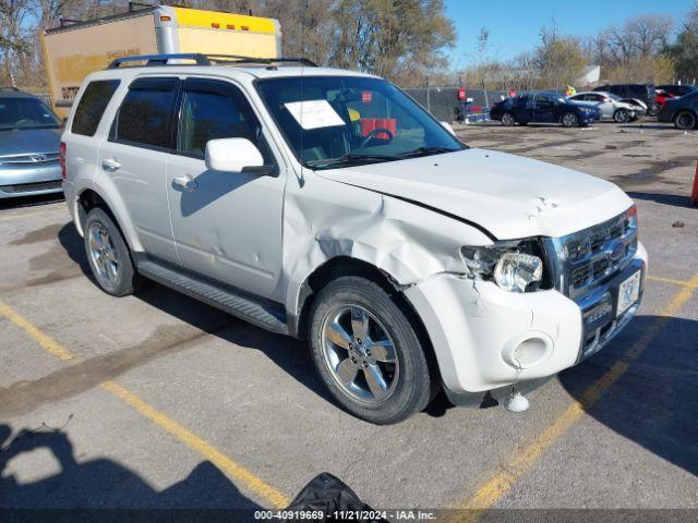  Salvage Ford Escape