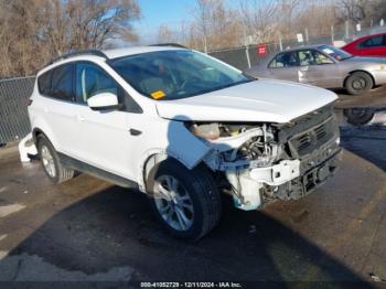  Salvage Ford Escape