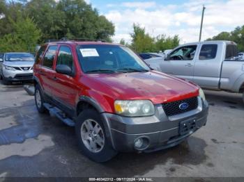  Salvage Ford Escape