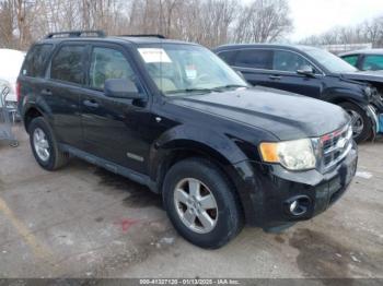  Salvage Ford Escape