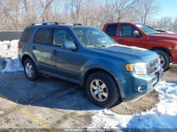  Salvage Ford Escape