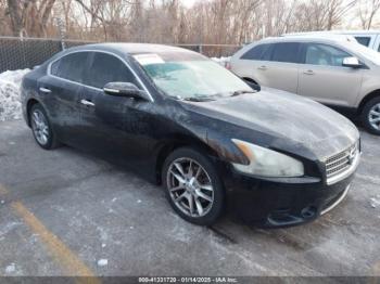  Salvage Nissan Maxima