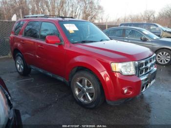  Salvage Ford Escape