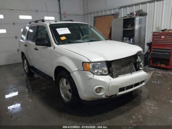  Salvage Ford Escape