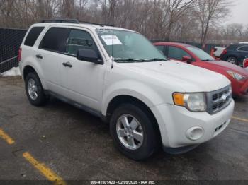  Salvage Ford Escape