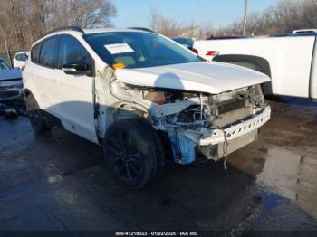  Salvage Ford Escape