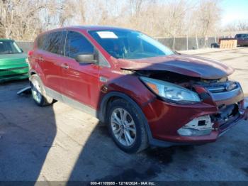  Salvage Ford Escape