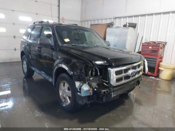  Salvage Ford Escape