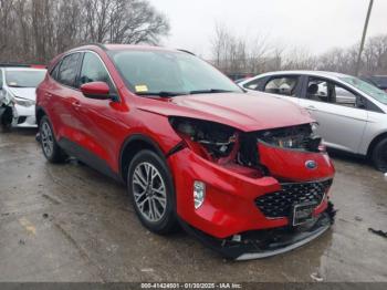  Salvage Ford Escape