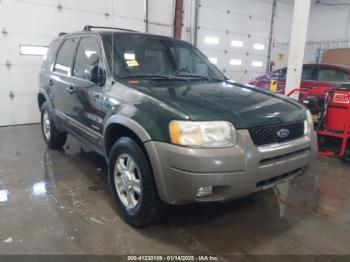  Salvage Ford Escape