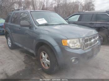  Salvage Ford Escape