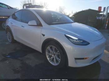  Salvage Tesla Model Y