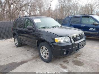  Salvage Ford Escape