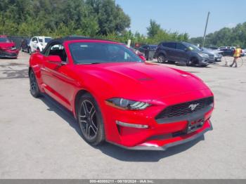  Salvage Ford Mustang