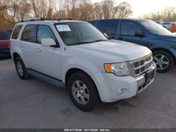  Salvage Ford Escape