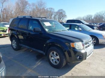  Salvage Ford Escape