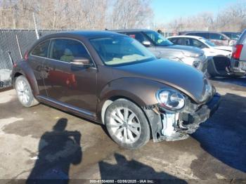  Salvage Volkswagen Beetle