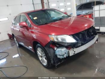  Salvage Lexus RX