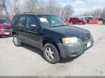  Salvage Ford Escape