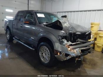  Salvage Ford F-150