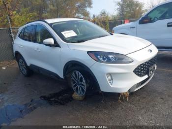  Salvage Ford Escape