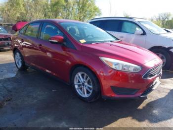  Salvage Ford Focus