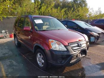  Salvage Honda CR-V