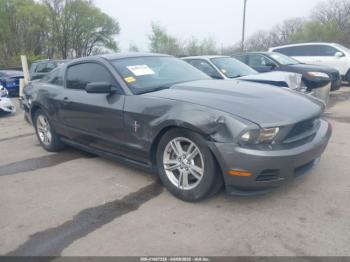  Salvage Ford Mustang